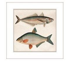 Pintura PECES 42x42cm marca MARCOMUEBLE 