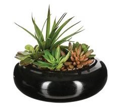 WELL HOME - Composição central com sortimento de plantas