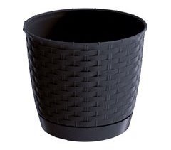 Ratolla Rodada 4,2L Pote