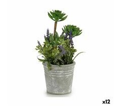 Planta Decorativa