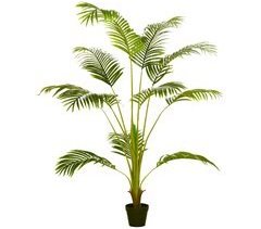 Planta Artificial PEVA, PE, PP, cimento