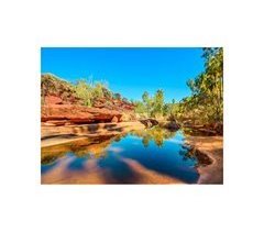 CANVAS OASIS marca CONFORAMA 80x60x1,8cm