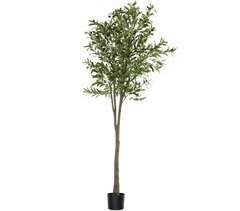 Oliveira artificial