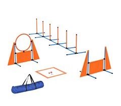 Conjunto de Treino e Agilidade ABS, PE, Tecido Oxford PawHut