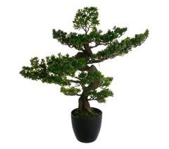 WELL HOME - Bonsai Artificial para Interior e Exterior