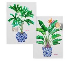 Porcelain Toalhas de cozinha