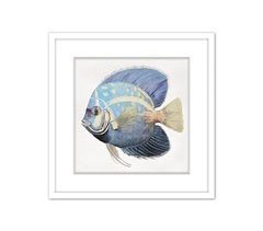 Pintura PEZ TROPICAL 42x42cm marca MARCOMUEBLE 