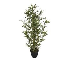 WELL HOME - Planta de Bambu Artificial em Vaso