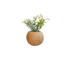 Planta artificial OLGA marca ECOANYA