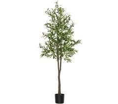 Oliveira artificial