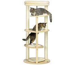 Arranhador para Gatos