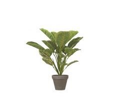 Planta artificial CALATHEA marca MICA DECORATIONS