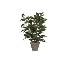 Planta artificial FICUS verde escuro da marca MYCA