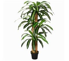 Planta Dracaena Artificial PE, PP, Cimento Outsunny