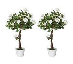 Plantas Artificiais PE, PP, cimento e tecido Outsunny