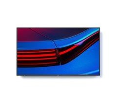 Monitor P495
