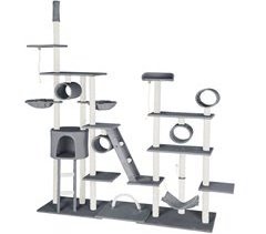 Árvore de gato