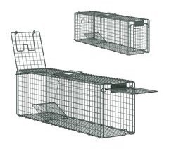 Armadilha para Animais Vivos Aço Outsunny