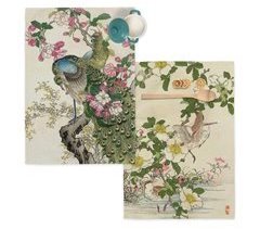 Japonais Toalhas de cozinha