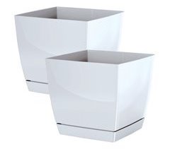 2x begonya panela redonda fresca com prato incluído