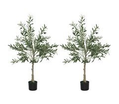 Conjunto de Plantas Artificiais Seda, Plástico e Cimento HOMCOM