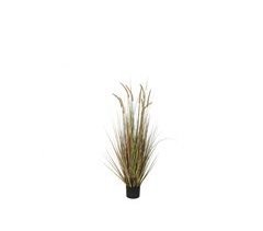 Planta artificial DOGTAIL da marca MYCA