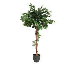 WELL HOME - Ficus artificial em vaso