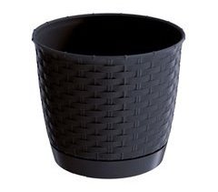 Ratolla Rodada 2.8L Pote