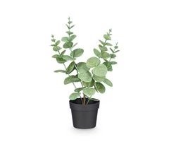 Planta floral HOJA REDONDA 35cm sortido