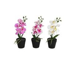 Planta  floral GARY sortida marca GERIMPORT