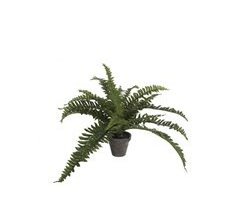 Planta artificial HELECHO da marca MYCA