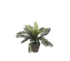 Planta artificial CYCAS marca MYCA