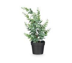 Planta floral EUCALIPTO 35cm sortido