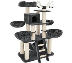 Árvore de gato