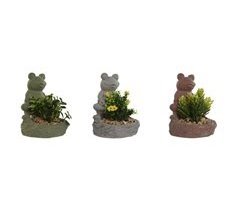 Planta Decorativa