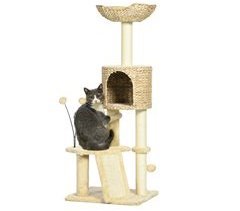 Arranhador para Gatos