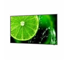 Monitor 60005059