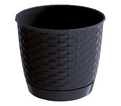 Ratolla Rodada 7.5l Pote