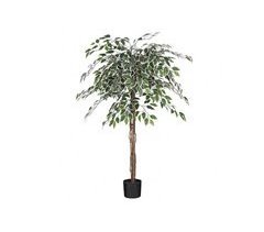 Planta artificial FICUS da marca MYCA