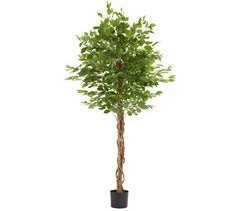 árvore de ficus artificial