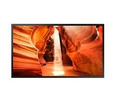 Monitor OM55N-S