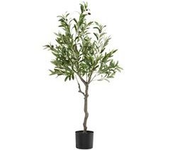 Oliveira artificial