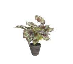 Planta artificial BEGONIA MYCA