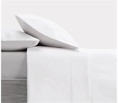 Conjunto de folhas de design simples
