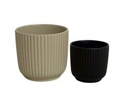 Vaso RAYAS cores sortidas
