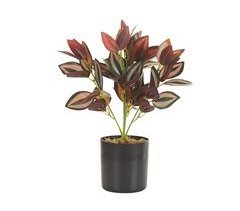 Beliani Planta artificial TRADESCANTIA