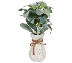 Beliani Planta artificial PEPEROMIA ARGYREIA