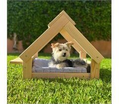 Canil para cães