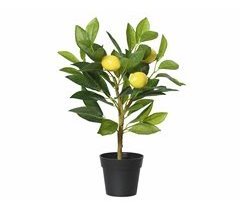 Planta artificial LIMONERO marca EVERLANDS