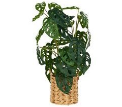 Beliani Planta artificial MONSTERA ADANSONII